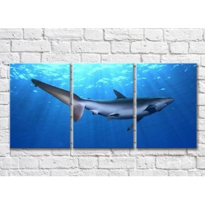 Pictură ArtPoster Shark in the sun in the sea (3469256)