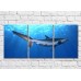 Pictură ArtPoster Shark in the sun in the sea (3469256)