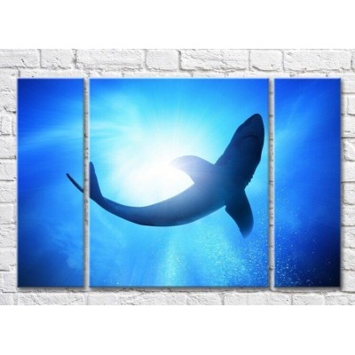 Pictură ArtPoster Shark swims in the sea (3469207)