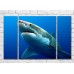 Pictură ArtPoster Shark with a wounded snout in the sea (3469208)