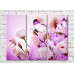 Картина ArtPoster Butterfly on a background of Pink eustoma (3448874)