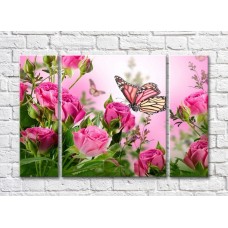 Картина ArtPoster Butterfly on a flower among rose bushes (500054)