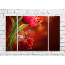 Картина ArtPoster Butterfly on a tulip flower on an Orange background (500055)