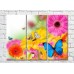 Картина ArtPoster Butterflies on a background of multi/colored gerberas (3448933)