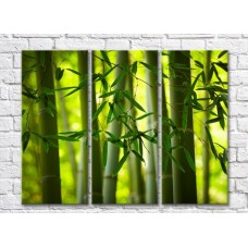 Картина ArtPoster Bamboo leaves on a background of trunks (500060)