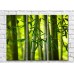 Картина ArtPoster Bamboo leaves on a background of trunks (500060)