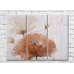 Картина ArtPoster Beige poppies on a background of aged White paint (3448934)