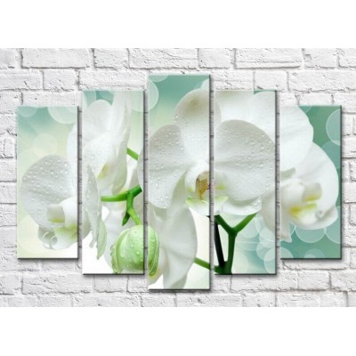 Pictură ArtPoster White orchid branch on Green background (3551905)