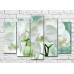 Pictură ArtPoster White orchid branch on Green background (3551905)