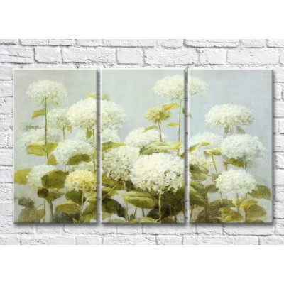 Картина ArtPoster White hydrangea (3572577)