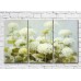 Картина ArtPoster White hydrangea (3572577)