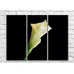 Картина ArtPoster White calla lilies on Black background (500062)