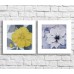 Pictură ArtPoster White water lily and Yellow flower on a background of leaves, diptych (3467647)