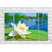 Pictură ArtPoster White water lily on the background of the pond (500063)