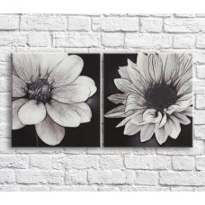 Pictură ArtPoster Field daisies in Black and White style, diptych (3467756)