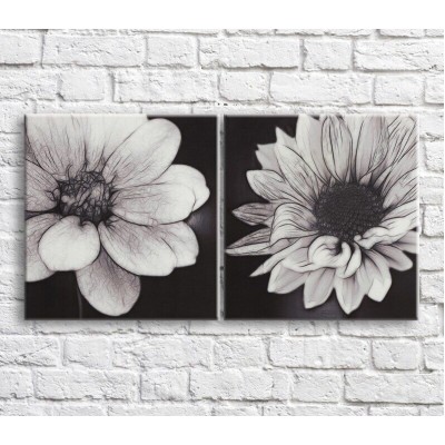 Картина ArtPoster Field daisies in Black and White style, diptych (3467756)