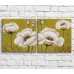 Pictură ArtPoster White poppies in oil on a background of text, vintage, diptych (3467688)