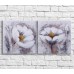 Pictură Magic Color White poppies in watercolor on a White background, diptych (3467675)