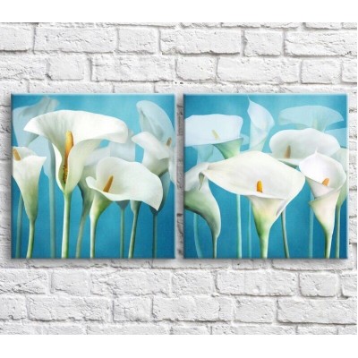 Pictură Magic Color White, tall calla lilies on a Blue background, diptych (3467667)