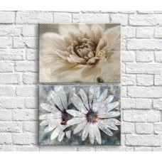 Картина Magic Color White gerberas in retro style, vintage, diptych (3467658)