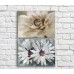 Картина Magic Color White gerberas in retro style, vintage, diptych (3467658)