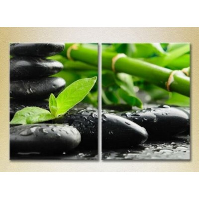 Картина Magic Color Diptych Bamboo and massage stones (2613746)