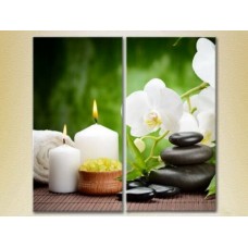 Картина Magic Color Diptych White orchids and bamboo (2613749)