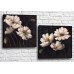 Картина Magic Color Diptych White poppies on a Black background (3428048)