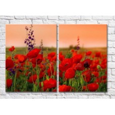 Картина Magic Color Diptych Field of Red poppies (3428041)