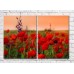 Картина Magic Color Diptych Field of Red poppies (3428041)