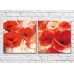 Pictură Magic Color Diptych Large Red poppies on a light background (3428032)