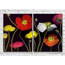 Картина Magic Color Diptych Multicolored poppies on a Black background 02 (3428036)