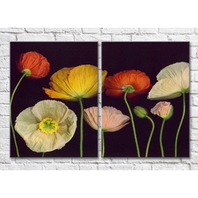 Картина Magic Color Diptych Multicolored poppies on a Black background (3428037)