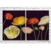 Картина Magic Color Diptych Multicolored poppies on a Black background (3428037)