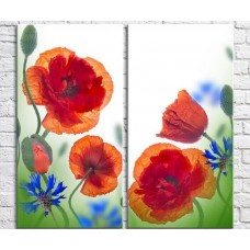 Картина Magic Color Diptych Red poppies and cornflowers (3428029)