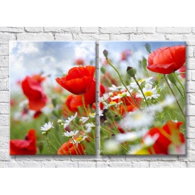 Картина Magic Color Diptych Red poppies and wildflowers (3428030)