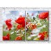 Картина Magic Color Diptych Red poppies and wildflowers (3428030)