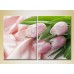 Картина Magic Color Diptych Pink tulips on silk fabric (2613827)