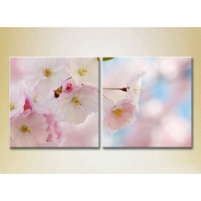 Картина Magic Color Diptych Sakura Flowers (2613838)