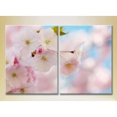 Картина Magic Color Diptych Sakura Flowers (2613839)