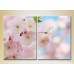 Pictură Magic Color Diptych Sakura Flowers (2613839)