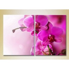 Картина Magic Color Diptych Purple Orchids (2613840)