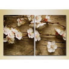 Картина Magic Color Diptych Flowering branch on the board (2613842)