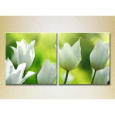 Картина Magic Color Diptych White tulips (2613753)