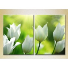 Картина Magic Color Diptych White tulips (2613754)