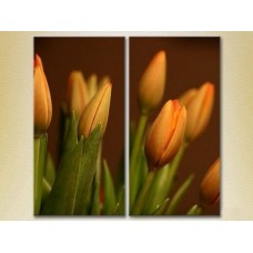 Картина Magic Color Diptych Tulips (2613843)