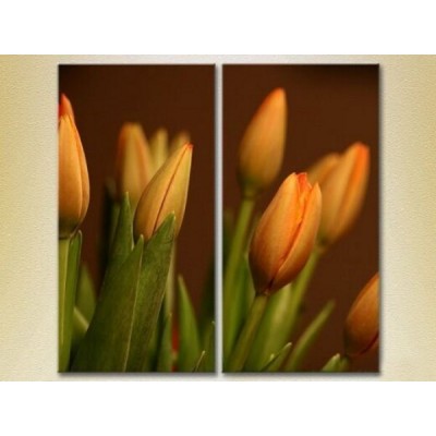 Картина Magic Color Diptych Tulips (2613843)