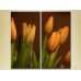 Картина Magic Color Diptych Tulips (2613843)