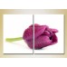 Картина Magic Color Diptych Purple Tulip (2613844)