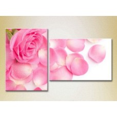 Картина Magic Color Diptych Pink rose and petals (2613828)